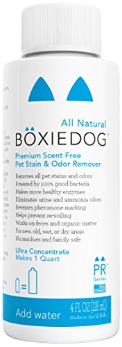 Image of Premium Scent Free Stain & Odor Remover, 4 oz Ultra Concentrate