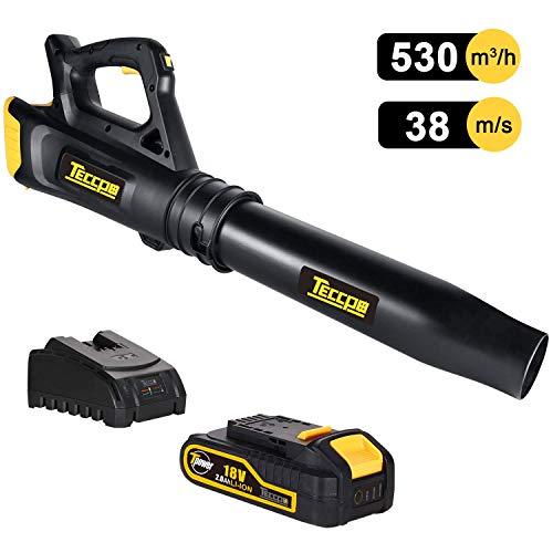 TECCPO Leaf Blower, 18V 2Ah Lithium Ion, 2-Speed Cordless Axial Fan Design Lightweight Professional Sweeper, Battery and Charger Included, Ideal for Sidewalks and Decks in Garden - TDAB02G