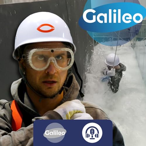 Tsunami Selbstversuch Podcast Por  arte de portada