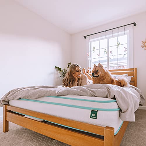Zinus MSHBBT-12F 12 Inch Memory Foam Spring Hybrid Mattress, Full, Euro Top Innerspring Mattress, Green Tea-Infused Foam, Certipur-Us Certified, Mattress In A Box thumb #2