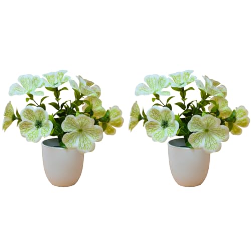 Image of fancymart Artificial Real Touch Flower Plant with Pot (Pack of 2), 16 cm Height, Decorative Faux Floral Plant for Home, Office, Living Room, Bedroom, Table & Shelf Decor