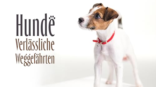 Hunde - Verlässliche Weggefährten