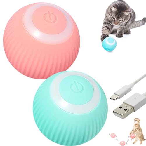 Power Ball 2.0 Smart Rolling Toy
