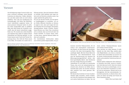 Lebendfutter selber züchten