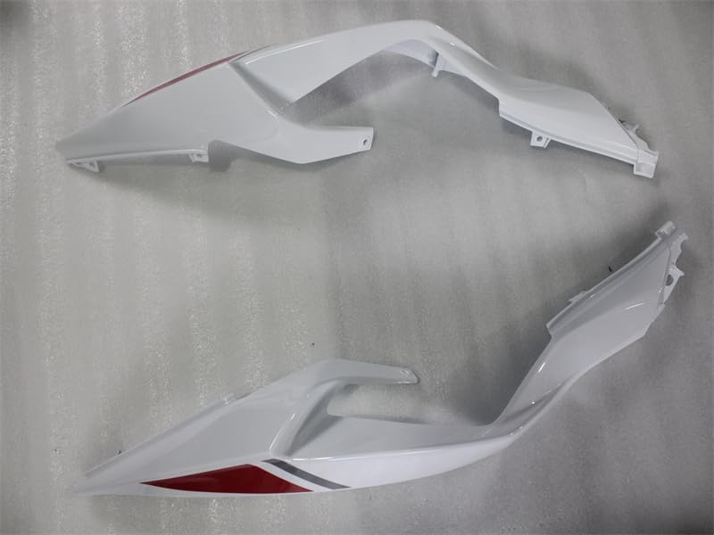 Amazon.com: NT Silver White Fairing Fit for 2024 2025 ZX6R ZX-6R