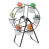 Youfui Ferris Wheel Plant Stand with 6 Planters Succulent Pots for Home Office Desk Decoration (Black)