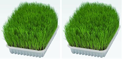 Trixie Bandeja Bio Hierba para Gatos, Aprox.100 g (Paquete de 2)