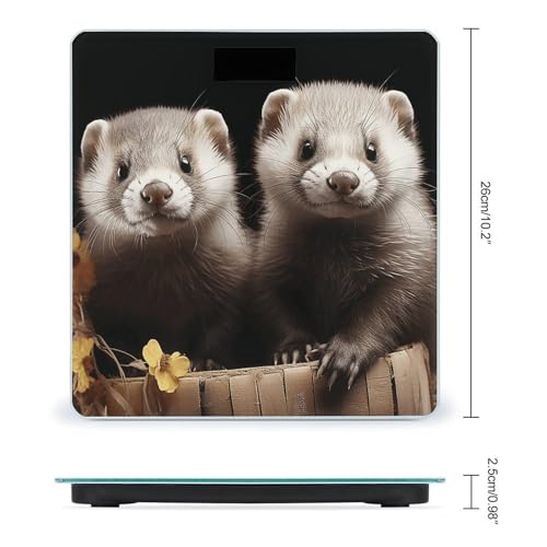 Báscula digital Ferrets de vidrio templado para baño miniatura 2