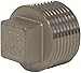 Dixon 1 1/4" Square Head Plug 316 SS (SHP125SS)