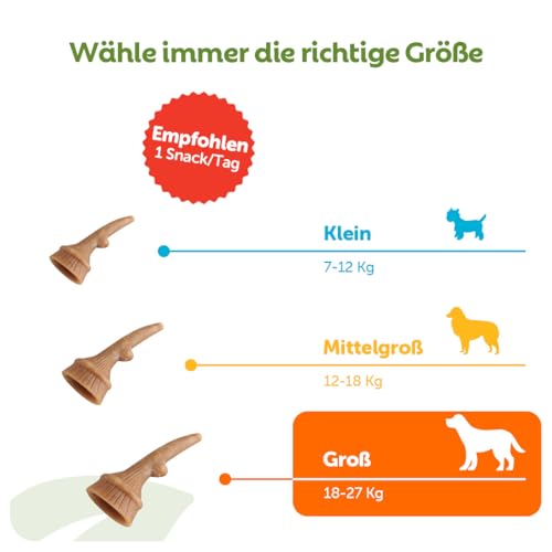 WHIMZEES Antler, geweihförmiger Hundesnack für große Hunde, Größe L, 6 Stück, wirkt beruhigend, ohne Zuckerzusatz, getreidefrei, natürlich, fettarm