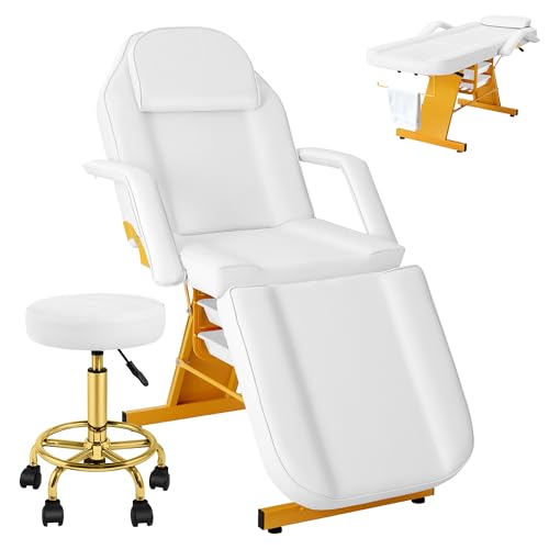 Tythical Tattoo Facial Chair for Clients Multi-Purpose Esthetician Lash Wax Bed with Adjustable Backrest &Armrests Professional Beauty Salon Spa Chair for Tattoo Shop Massage Furniture White Glod