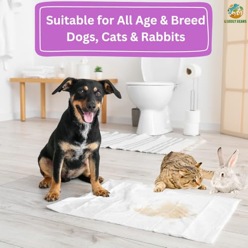 Image of Pee Pads | Cotton Top | Lavender | Leak Proof | XL 30 Count | Super absorbent leak-proof pee pads with cotton top for dogs and cats