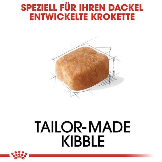 ROYAL CANIN Dachshund Adult | 4er Pack | 4 x 500 g | Alleinfuttermittel für ausgewachsene Dackel ab dem 10. Monat
