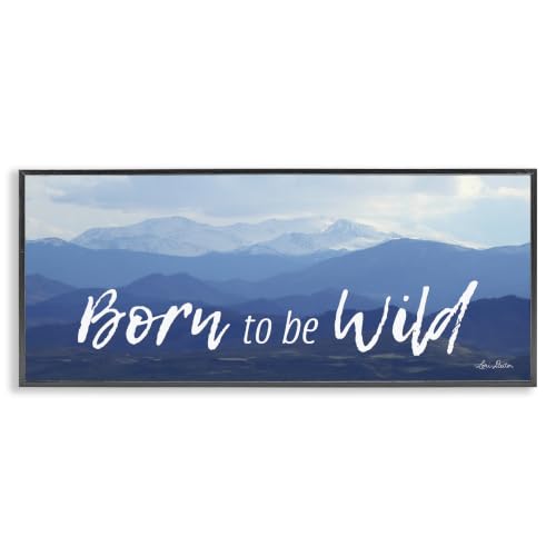 Outdoor Adventure Panoramic Sky, 13 x 30 Inch Framed Giclée Print