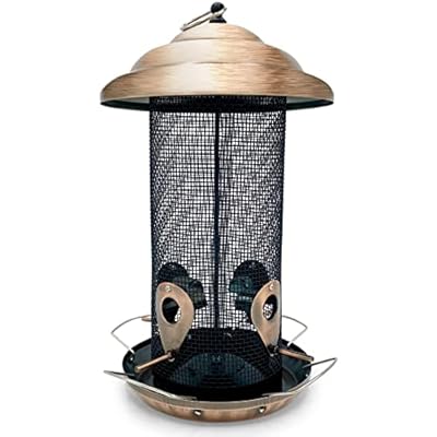 Large Hanging Copper Garden Bird Feeder Including 8 Feeding Perches - Outdoor Feeder Holds upto 2kg of Wild Bird Seed Mix - a Modern Stylish Bird Feeder that Attracts a Variety of Birds to your Garden