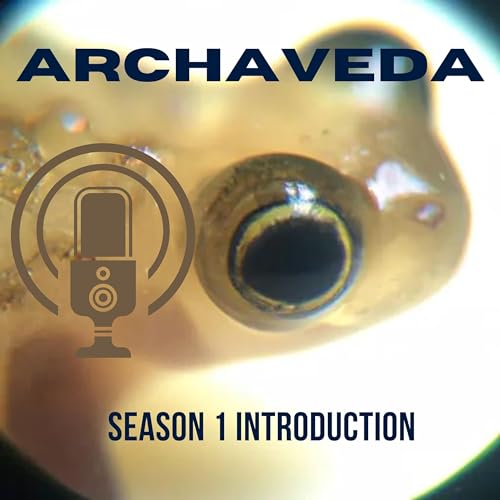 『Season 1 Introduction』のカバーアート