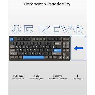 Kisnt KN85 Wireless Mechanical Keyboard, 75% Layout, Bluetooth/2.4GHz/USB-C, Custom RGB Backlit, Hot-Swappable Linear Switch, Creamy Sound for Gaming/Typing (Textured Black)