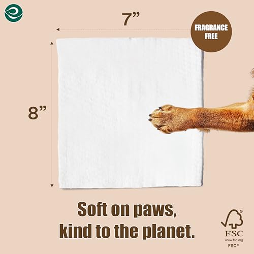Image of ECO SOUL Pet Wipes for Dogs & Cats, Unscented Large Cleaning Wipes with Aloe Vera & Jojoba Oil | (100 Count Each, Pack of 4)