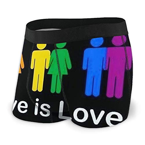 Preisvergleich Produktbild LAOLUCKY LGBT Pride Culture Herren-Boxershorts, weich, atmungsaktiv, dehnbar, Schwarz