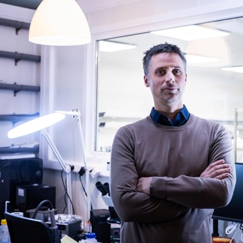 De la recherche universitaire au business : focus sur les spin-offs