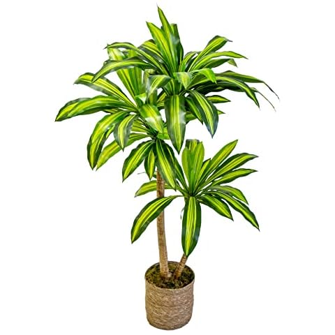 Artificial Dracaena, Made with the Best Materials, Ideal for Home Decoration (120 cm) Cover