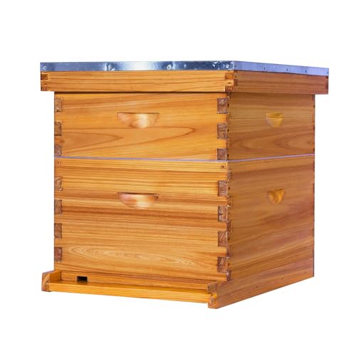 ThxBees 10-Frame Bee Hive Complete Beehive Kit Beeswax Coated Beehive Include Frames and Foundation Sheets for All Beekeeping Levels (1 Deep & 1 Medium Bee Boxes)