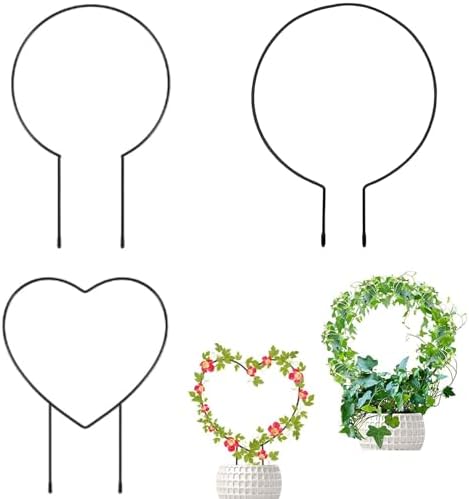 6 Stück Pflanzenstützen 32cm - Rankhilfen Für Kletterpflanzen Wie Efeu & Philodendron