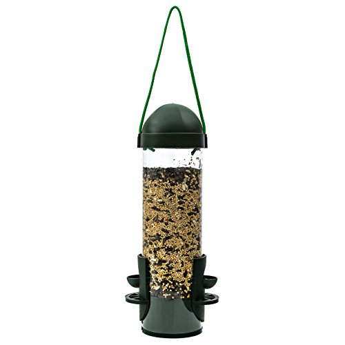 Wild Bird Feeder - Panorama - Green