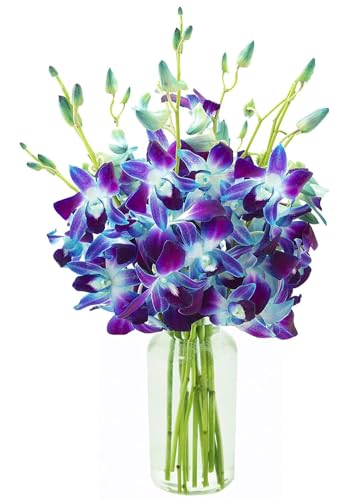 Image of KaBloom-10 Blue Orchid Bouquet,Flowers for Valentine, Mother's Day