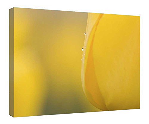Toile tulipe jaune tableau cadre bois pour créer une ambiance zen dans votre chambre