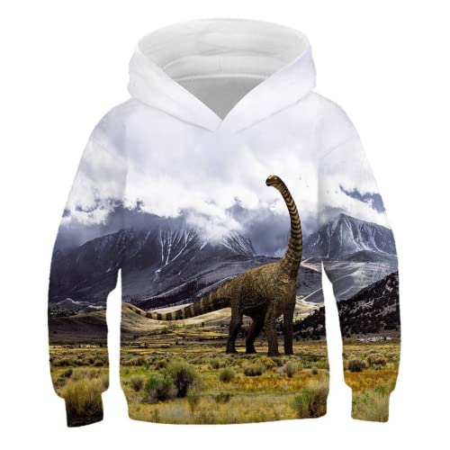 LEXAHO Sweat à Capuche 3D Dinosaure à Capuche Enfants Pull garçons Filles Dessin animé Pull Sweat Streetwear (Dinosaur2,100cm) Cover