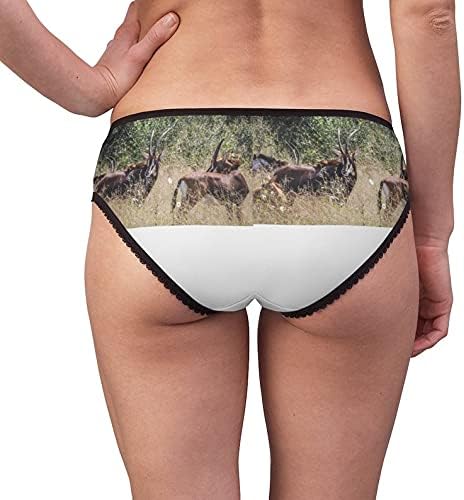 Sable Antelopes In Hwange Panties, Sable Antelopes In Hwange Underwear, Briefs, Cotton Briefs, Underwear, Panties For Women