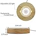 Mintso Wood LED Dimming Display Base for Glass Crystal,4 Inch White/Warm Lighted
