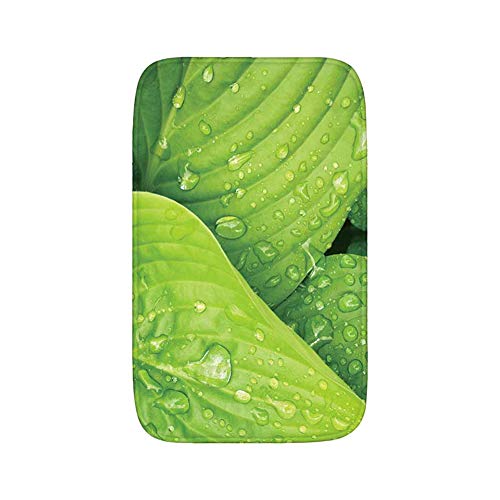 Haodasi 3-Teiliges Badematten Set - Verdicken Sie wasserabsorbierendes Blatt-Druck-3d Nicht Beleg-Feder-Kleines großes… – Bild 3