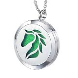 Popeoiuh Essential Oil Diffuser Necklace -Aromatherapy Jewelry Stainless Steel Horse Animal Locket P