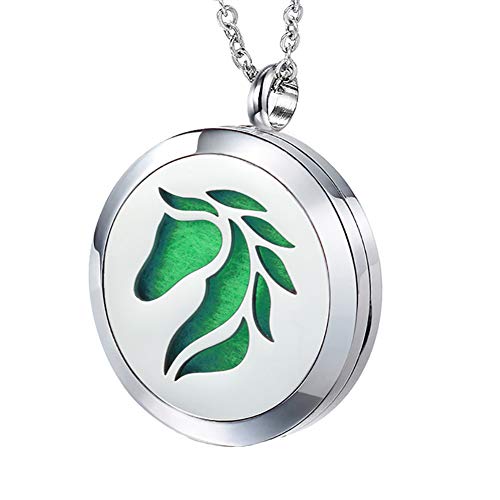 Popeoiuh Essential Oil Diffuser Necklace -Aromatherapy Jewelry Stainless Steel Horse Animal Locket Pendant With 24" Chain 8 Pads -Birthday Christmas Jewelry Gift For Women Men #TOP4