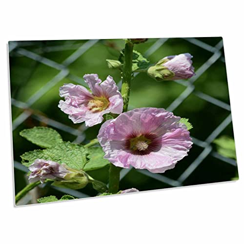 3dRose Pretty Pink Hollyhock Flowers Desk Pad miniatura 1