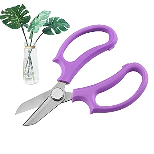Büroschere, Bastelschere, Blumenschere, Edelstahl, Küchenschere, Gartenschere, Baumschere, Gartenschere, Astschere, Schneider, Blumenladenschere Scheren