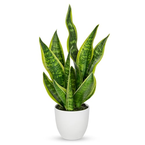 Hollyone Artificial Snake Plant Potted Faux Sansevieria Trifasciata Plants, 18"