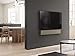 Bang & Olufsen Beosound Stage – Dolby Atmos Soundbar – TV and WiFi Speaker, Gold Tone/Golden