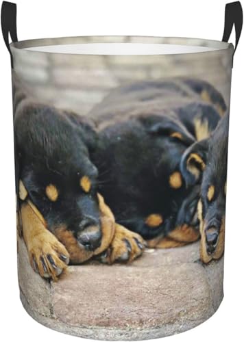 h[oXPbge 󂩂 h bgC[  ybg q ^ 󕨗p H eʕzGݎ[{bNX G [obO QA󎺁A Vvł[ M