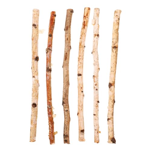SHINEOFI 6pcs Natural Wood Sticks for Crafting DIY Decorative Branches for Flower Arrangements Dry Branches for Home Decoration Holiday Crafts DIY Supply for Creative Projects