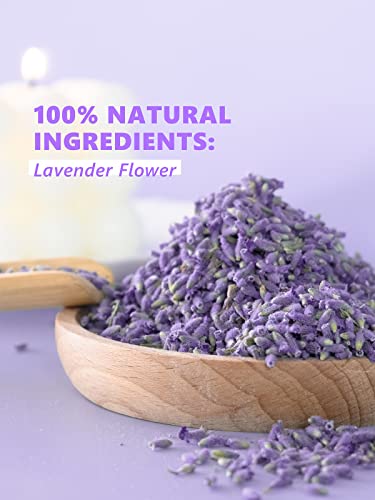 Image of TeeLux Lavender Flowers Tea, Dried Lavender Buds for Drinks, Baking, DIY Beauty, Crafts, Sachets, Delightful Aroma, Caffeine-Free, 16oz (Pack of 2)