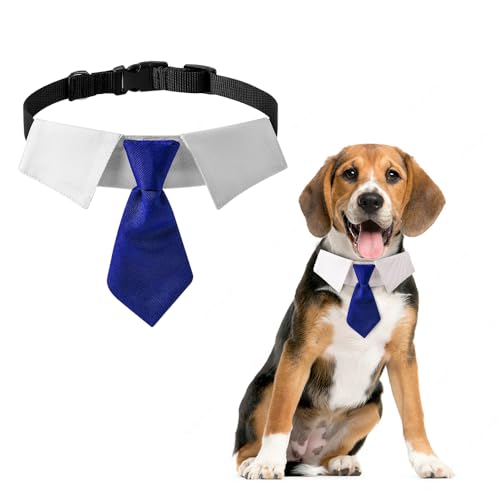 DOGTACT Adjustable Boy Dog Collar Sturdy Pet Tie for Suitable for Weddings Photo Shoots Family Photos and Other Special Occasions Fits Cats and Dogs