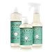 Mrs. Meyer's Clean Day Kitchen Basics Set, Basil, 3 ct: Dish Soap (16 fl oz), Hand Soap (12.5 fl oz), Multi-Surface Everyday Cleaner (16 fl oz)