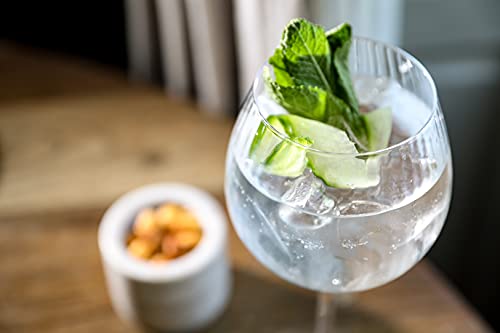 BarCraft Ribbed Gin Glasses, Set of 2 Handmade Embossed Glasses in Gift Box, 550ml