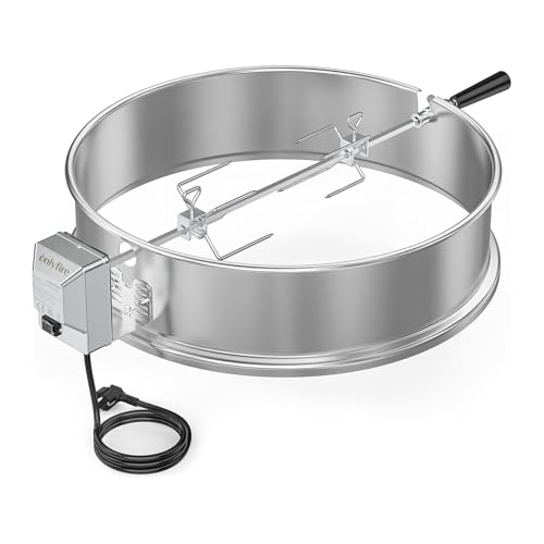 only fire Carbone bollitore Grill Acciaio Inossidabile girarrosto Arrostire Kit