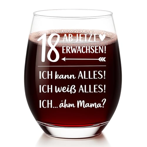 Diztoud 18. Geburtstag Mädchen Geschenk, 550 ml Weinglas mit Spruch, 18 AB JETZT ERWACHSEN, lustige Geschenkidee zum 18 Geburtstag, Geburtstagsgeschenk für Tochter, Nichte, Schwester und Freundin Diztoud 18. Geburtstag Mädchen Geschenk, 550 ml Weinglas mit Spruch, 18 AB JETZT ERWACHSEN, lustige Geschenkidee zum 18 Geburtstag, Geburtstagsgeschenk für Tochter, Nichte, Schwester und Freundin