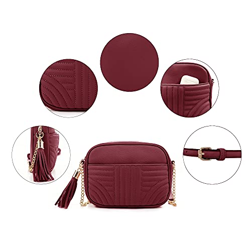 Image of EVVE Quilted Crossbody Bags for Women - Stylish Camera Bag with Tassel - Lightweight Medium Size Shoulder Purse