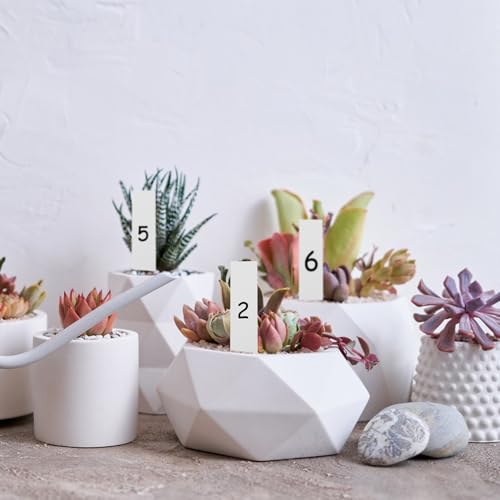 Set herramientas de jardinería Beavorty 12 pcs para suculentas miniatura 5